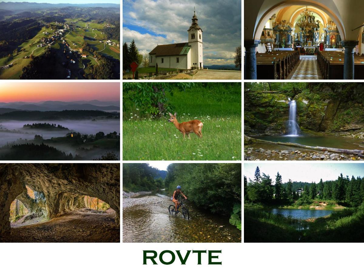 Lookout Resort Tiny House Rovte المظهر الخارجي الصورة